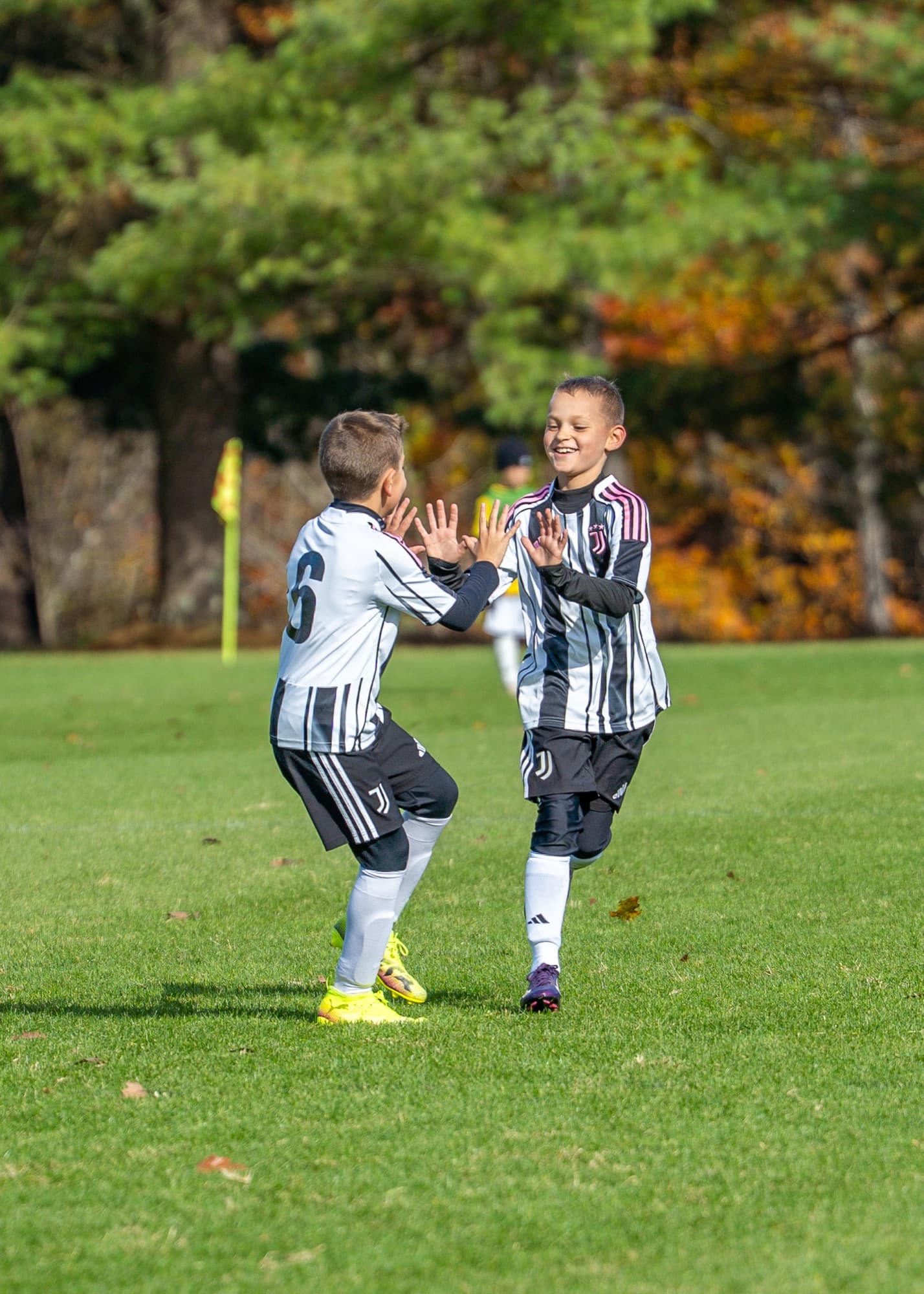 Teammates high-fiving after a play